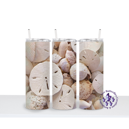 Seashells